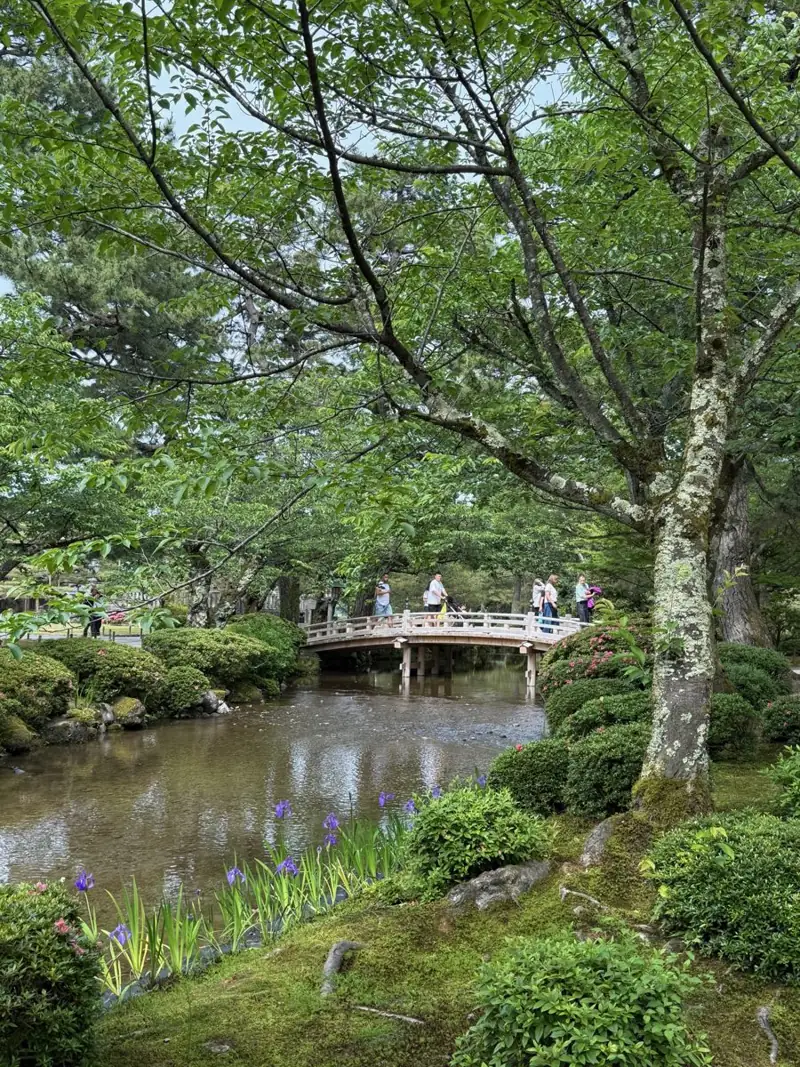 A garden path by a still pond, with a wooden bridge, mossy banks and purple irises